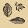 Ковер Durkan Print Dstinctive Design Vol 4 AW43276