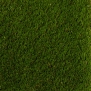Искусственная трава Betap-Ibiza зеленый — купить в Москве в интернет-магазине Snabimport