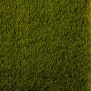 Искусственная трава Betap-Marseille зеленый — купить в Москве в интернет-магазине Snabimport