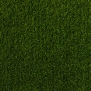 Искусственная трава Betap-Roland зеленый — купить в Москве в интернет-магазине Snabimport