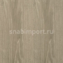 Виниловый ламинат Belfloor Universal 8 Сосная отбеленная Бежевый — купить в Москве в интернет-магазине Snabimport