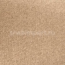 Ковровое покрытие Radici Pietro Bari BISCOTTO 2603 коричневый — купить в Москве в интернет-магазине Snabimport