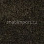 Ковровое покрытие Radici Pietro Lord BISONTE 328C
