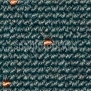 Ковровое покрытие Nordpfeil Mezzo Brillant 688-481