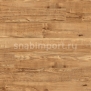 Виниловый ламинат Polyflor Camaro Wood PUR 2202 Nut Tree — купить в Москве в интернет-магазине Snabimport