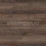 Виниловый ламинат Polyflor Camaro Wood PUR 2234 Figured Pine