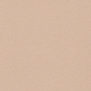 Коммерческий линолеум Polyflor Polysafe Verona PUR Pure Colours Cappuccino-5224 Бежевый — купить в Москве в интернет-магазине Snabimport