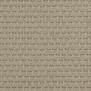 Ковровое покрытие Masland Cartesian 9389-563