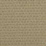 Ковровое покрытие Masland Cartesian 9389-574