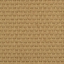 Ковровое покрытие Masland Cartesian 9389-668