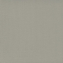 Ковровое покрытие Tapibel Casa-24841 Серый — купить в Москве в интернет-магазине Snabimport
