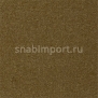 Ковровое покрытие Rols Castor 908 коричневый — купить в Москве в интернет-магазине Snabimport