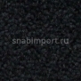 Контрактный ковролин Condor Сarpets Charmant 29 чёрный — купить в Москве в интернет-магазине Snabimport