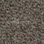 Контрактный ковролин Condor Сarpets Charmant 51 коричневый — купить в Москве в интернет-магазине Snabimport
