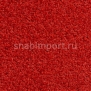 Контрактный ковролин Condor Сarpets Classic 20 Красный — купить в Москве в интернет-магазине Snabimport