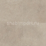 Виниловый ламинат Polyflor Colonia Stone PUR 4537 Fossil Limestone