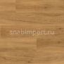 Виниловый ламинат Polyflor Colonia Wood PUR 4434 Schoolhouse Oak