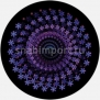 Гобо стеклянные Rosco Color Color Rotation 86650 Фиолетовый — купить в Москве в интернет-магазине Snabimport