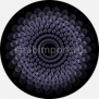 Гобо стеклянные Rosco Color Color Rotation 86652 Фиолетовый — купить в Москве в интернет-магазине Snabimport