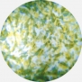 Гобо стеклянные Rosco Colorizers 56205 зеленый — купить в Москве в интернет-магазине Snabimport