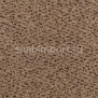 Ковровое покрытие Carpet Concept Concept 503 136 коричневый — купить в Москве в интернет-магазине Snabimport