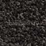 Ковровое покрытие Carpet Concept Concept 504 316 черный — купить в Москве в интернет-магазине Snabimport