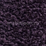 Ковровое покрытие Carpet Concept Concept 504 436 Фиолетовый — купить в Москве в интернет-магазине Snabimport