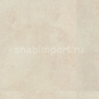 Противоскользящий линолеум Polyflor Expona Control Stone PUR 7500 Portland Stone — купить в Москве в интернет-магазине Snabimport
