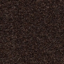 Грязезащитные покрытия Forbo Coral Bright 2606 коричневый — купить в Москве в интернет-магазине Snabimport