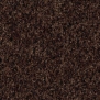 Грязезащитные покрытия Forbo Coral Brush 5724 коричневый — купить в Москве в интернет-магазине Snabimport