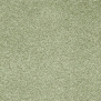 Ковровое покрытие Associated Weavers Corallina-20