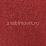 Ковровое покрытие Creatuft Sheba 1045 Egypte rood — купить в Москве в интернет-магазине Snabimport