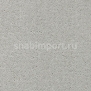 Ковровое покрытие Creatuft Sheba 1013 parelgrijs — купить в Москве в интернет-магазине Snabimport