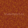 Ковер Durkan Print Avant Garden D12388