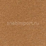 Ковровое покрытие Radici Pietro Forum DAINO 2405 коричневый — купить в Москве в интернет-магазине Snabimport