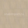 Виниловый ламинат Wineo SELECT STONE Natural Concrete DBE2038NO коричневый — купить в Москве в интернет-магазине Snabimport