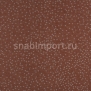 Ковровое покрытие Balsan Design Concept Constellation 580 PROXIMA