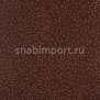 Ковровое покрытие Balsan Design Concept Constellation 595 PLUTON