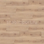 Виниловый ламинат Wineo KINGSIZE Native Oak DEI5001AMKS коричневый — купить в Москве в интернет-магазине Snabimport