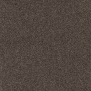 Ковровое покрытие Tapibel Diplomat-58524 Серый — купить в Москве в интернет-магазине Snabimport