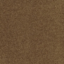Ковровое покрытие Tapibel Diplomat-58537 коричневый — купить в Москве в интернет-магазине Snabimport