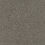 Ковровое покрытие Tapibel Diplomat-58541 Серый — купить в Москве в интернет-магазине Snabimport
