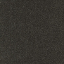 Ковровое покрытие Tapibel Diplomat-58546 чёрный — купить в Москве в интернет-магазине Snabimport