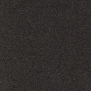 Ковровое покрытие Tapibel Diplomat-58551 чёрный — купить в Москве в интернет-магазине Snabimport