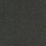 Ковровое покрытие Tapibel Diplomat-58561 чёрный — купить в Москве в интернет-магазине Snabimport