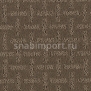 Ковровое покрытие Karastan Dramatic Details Delta Brown