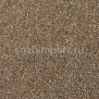 Ковровая плитка Desso Pallas 8423 коричневый — купить в Москве в интернет-магазине Snabimport