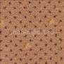 Ковровое покрытие Desso Elegance 2044-100