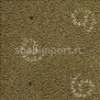 Ковровое покрытие Desso Elegance 7852-202
