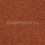Ковровое покрытие Desso Torso T/B 5213 коричневый — купить в Москве в интернет-магазине Snabimport